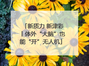 新质力 新津彩丨体外“大脑”也能“开”无人机
