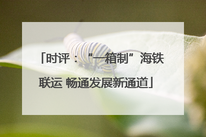 时评：“一箱制”海铁联运 畅通发展新通道