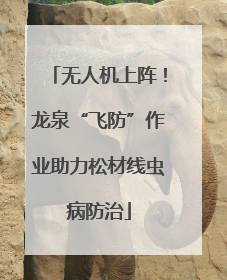 无人机上阵！龙泉“飞防”作业助力松材线虫病防治