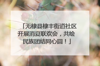 无棣县棣丰街道社区开展消夏联欢会，共绘民族团结同心圆！