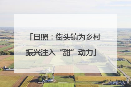 日照：街头镇为乡村振兴注入“甜”动力