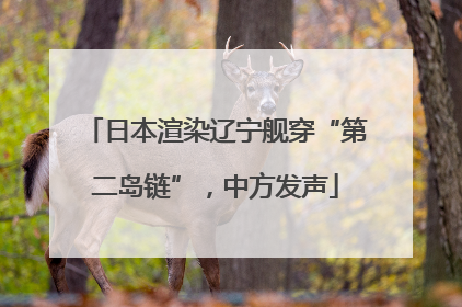 日本渲染辽宁舰穿“第二岛链”，中方发声