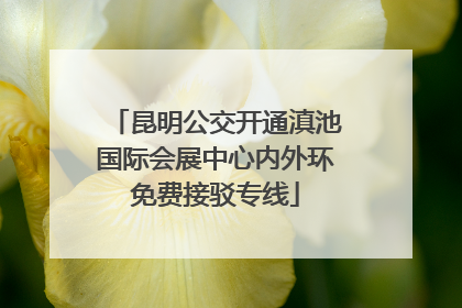 昆明公交开通滇池国际会展中心内外环免费接驳专线