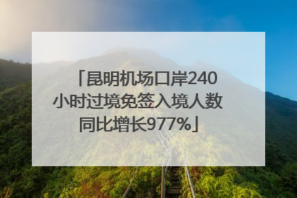 昆明机场口岸240小时过境免签入境人数同比增长977%