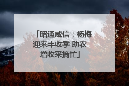昭通威信：杨梅迎来丰收季 助农增收采摘忙
