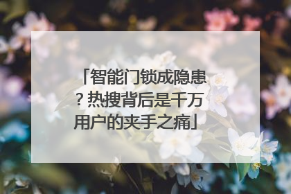 智能门锁成隐患？热搜背后是千万用户的夹手之痛