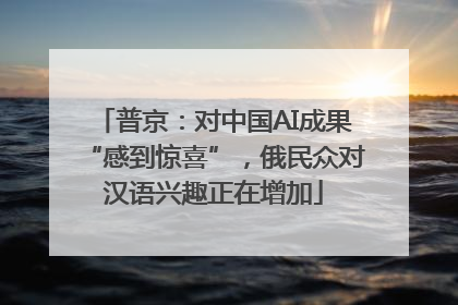 普京：对中国AI成果“感到惊喜”，俄民众对汉语兴趣正在增加
