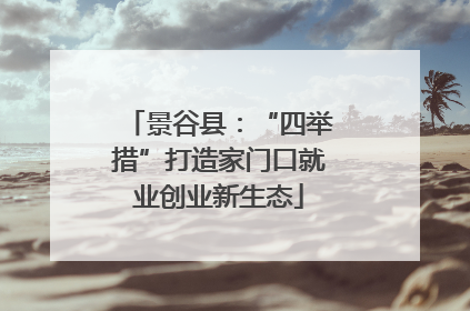 景谷县：“四举措”打造家门口就业创业新生态