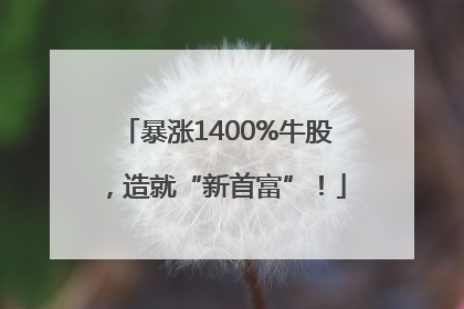 暴涨1400%牛股，造就“新首富”！