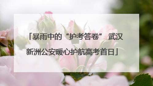 暴雨中的“护考答卷” 武汉新洲公安暖心护航高考首日