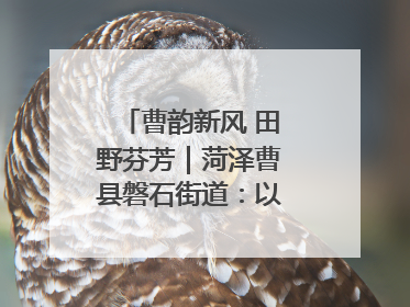 曹韵新风 田野芬芳｜菏泽曹县磐石街道：以歌为媒 唱响乡土“新歌声”