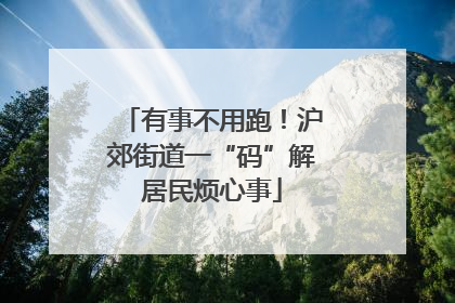 有事不用跑！沪郊街道一“码”解居民烦心事