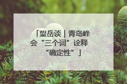 望岳谈｜青岛峰会“三个词”诠释“确定性”