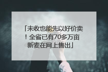 未收也能先以好价卖！全省已有70多万亩新麦在网上售出