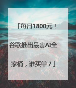 每月1800元！谷歌推出最贵AI全家桶，谁买单？