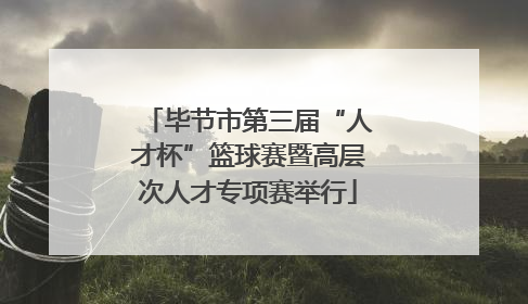 毕节市第三届“人才杯”篮球赛暨高层次人才专项赛举行