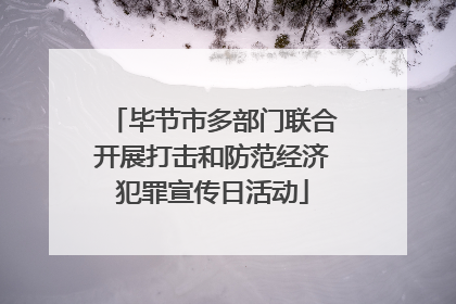 毕节市多部门联合开展打击和防范经济犯罪宣传日活动