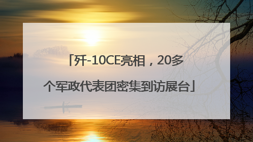 歼-10CE亮相，20多个军政代表团密集到访展台