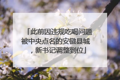 此前因违规吃喝问题被中央点名的安徽县城，新书记调整到位