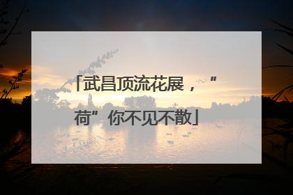 武昌顶流花展，“荷”你不见不散