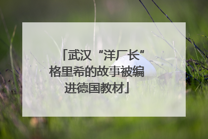 武汉“洋厂长”格里希的故事被编进德国教材
