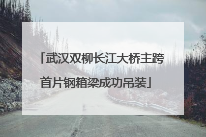 武汉双柳长江大桥主跨首片钢箱梁成功吊装