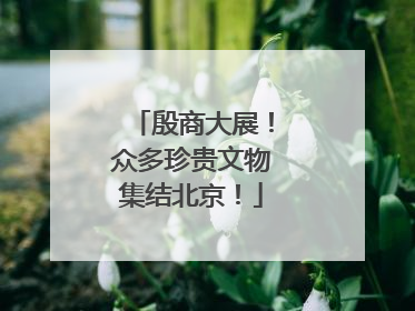殷商大展！众多珍贵文物集结北京！