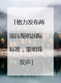 格力发布两项压缩机国际标准，董明珠发声