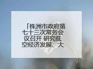 株洲市政府第七十三次常务会议召开 研究低空经济发展、大抓落实等工作