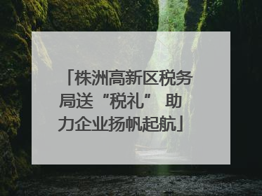 株洲高新区税务局送“税礼” 助力企业扬帆起航