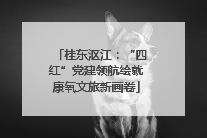 桂东沤江：“四红”党建领航绘就康氧文旅新画卷
