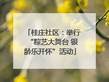 桂庄社区：举行“粽艺大舞台 银龄乐开怀”活动