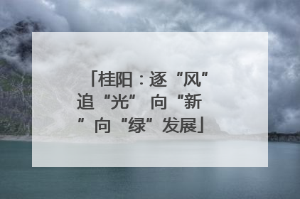 桂阳：逐“风”追“光” 向“新”向“绿”发展