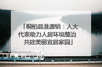 桐柏县淮源镇：人大代表助力人居环境整治 共建美丽宜居家园