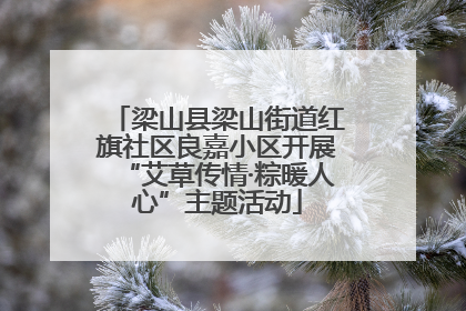 梁山县梁山街道红旗社区良嘉小区开展“艾草传情·粽暖人心”主题活动