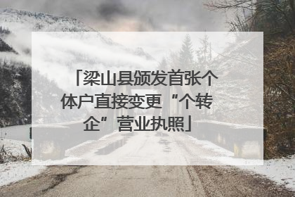 梁山县颁发首张个体户直接变更“个转企”营业执照