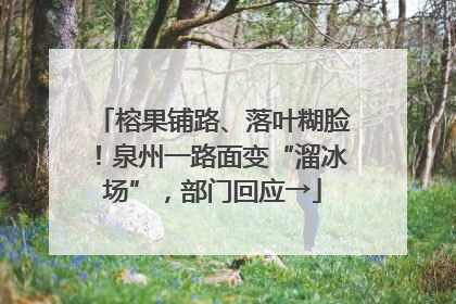 榕果铺路、落叶糊脸！泉州一路面变“溜冰场”，部门回应→