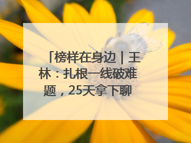 榜样在身边｜王林：扎根一线破难题，25天拿下聊城西站钢连廊“硬核”工程