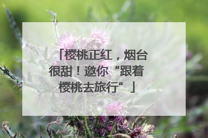 樱桃正红，烟台很甜！邀你“跟着樱桃去旅行”