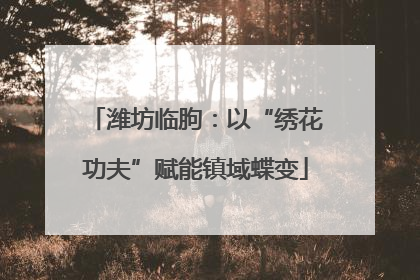 潍坊临朐：以“绣花功夫”赋能镇域蝶变