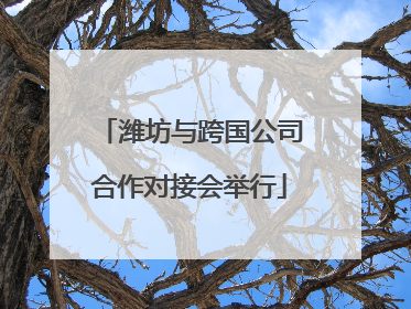 潍坊与跨国公司合作对接会举行