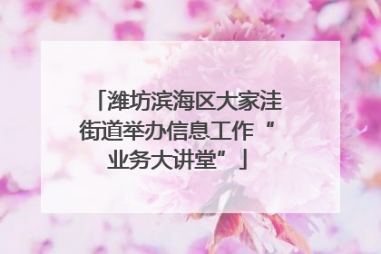 潍坊滨海区大家洼街道举办信息工作“业务大讲堂”