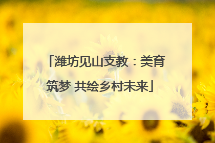 潍坊见山支教：美育筑梦 共绘乡村未来