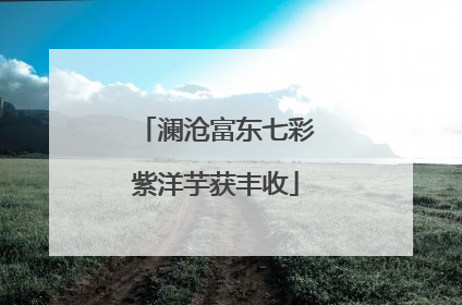 澜沧富东七彩紫洋芋获丰收