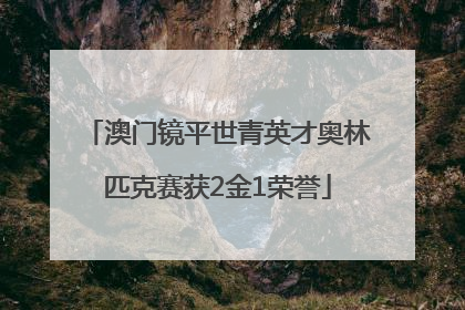 澳门镜平世青英才奥林匹克赛获2金1荣誉