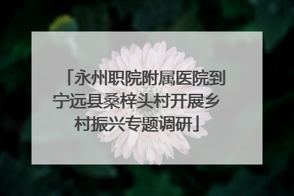 永州职院附属医院到宁远县桑梓头村开展乡村振兴专题调研