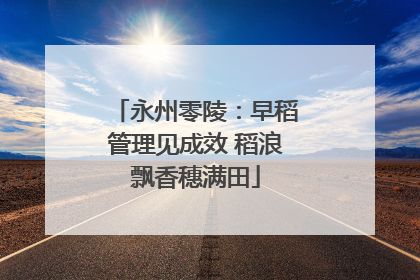 永州零陵：早稻管理见成效 稻浪飘香穗满田