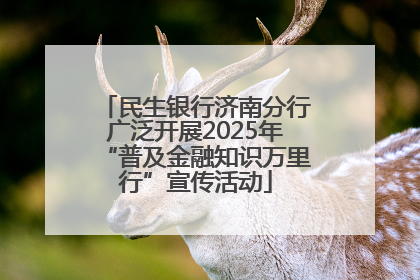 民生银行济南分行广泛开展2025年“普及金融知识万里行”宣传活动
