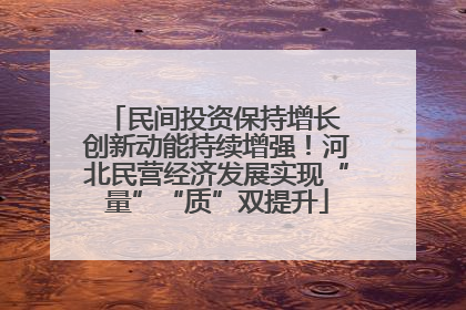 民间投资保持增长 创新动能持续增强！河北民营经济发展实现“量”“质”双提升