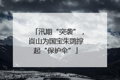 汛期“突袭”，崀山为国宝朱鹮撑起“保护伞”